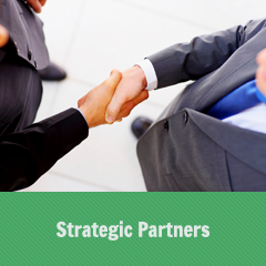 Strategic Partners
