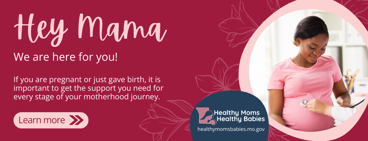 Healthy Moms Healthy Babies Slider